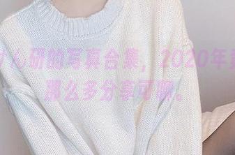 看完けん研的写真合集，2020年竟然有那么多分享可聊。